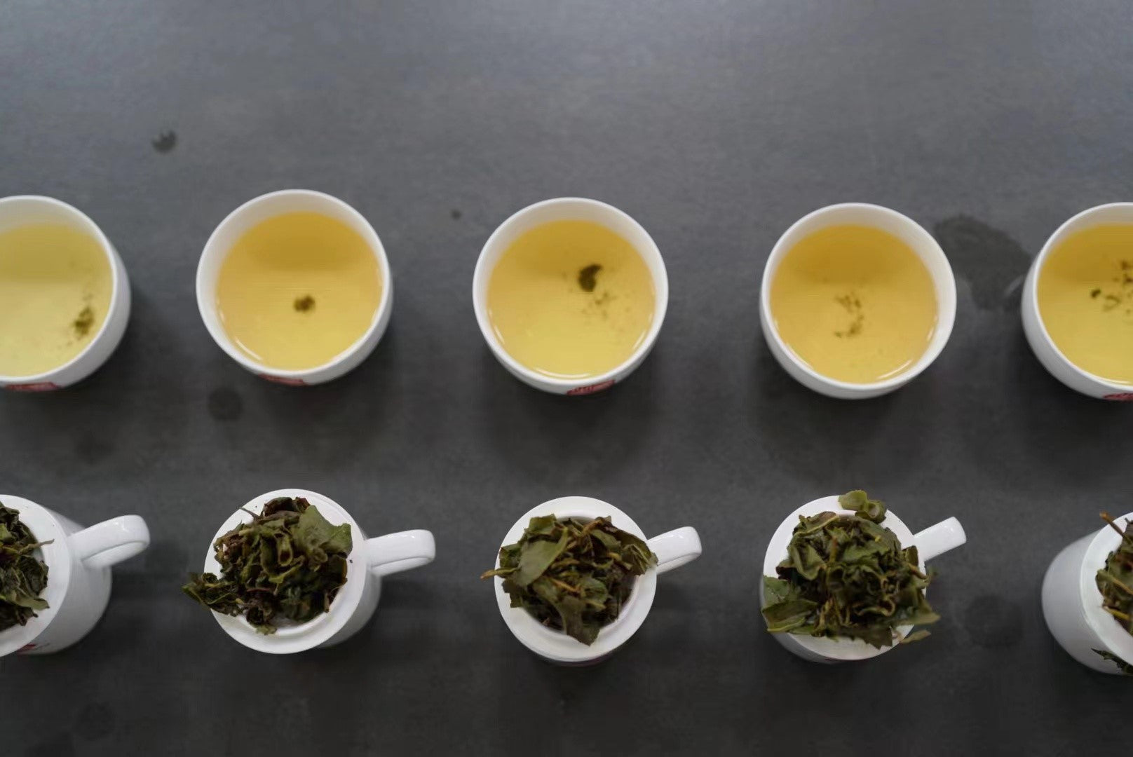 Special Offers – TREATEA