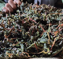 Load image into Gallery viewer, Roasted Oolong Tea (Stem-included)