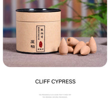 Load image into Gallery viewer, Backflow Incense