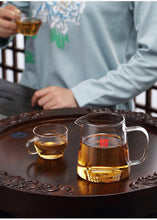 Load image into Gallery viewer, Heat Resistant Glass Teapot with Filter